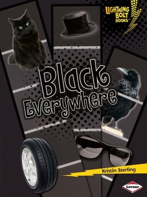 cover image of Black Everywhere